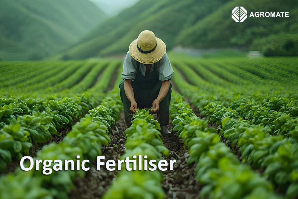 organic fertilier supply company malaysia